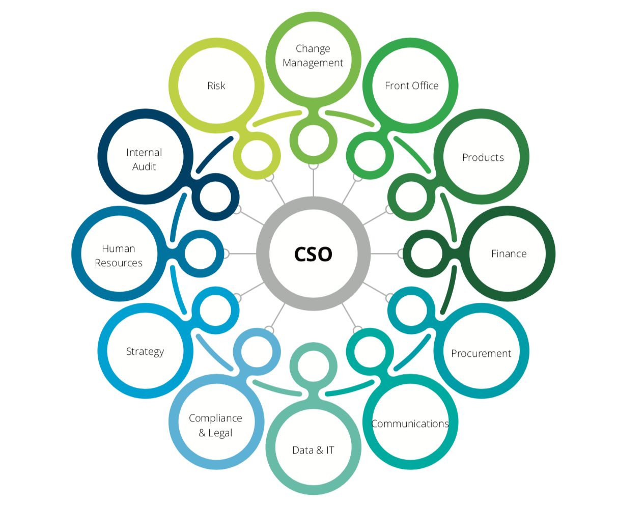 Responsibilities of a Chief Sustainability Officer